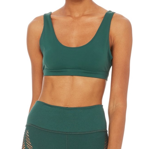 alo ambient bra